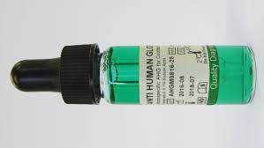 ANTI HUMAN GLOBULIN 10ML